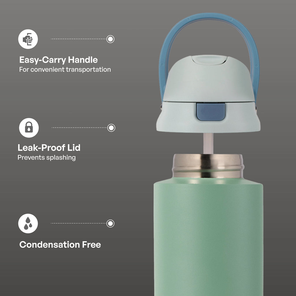 TAL 24oz Stainless Steel 2-in-1 Straw and Chug Water Bottle with Push Lid, Sage